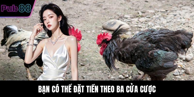 Bạn có thể đặt tiền theo ba cửa cược