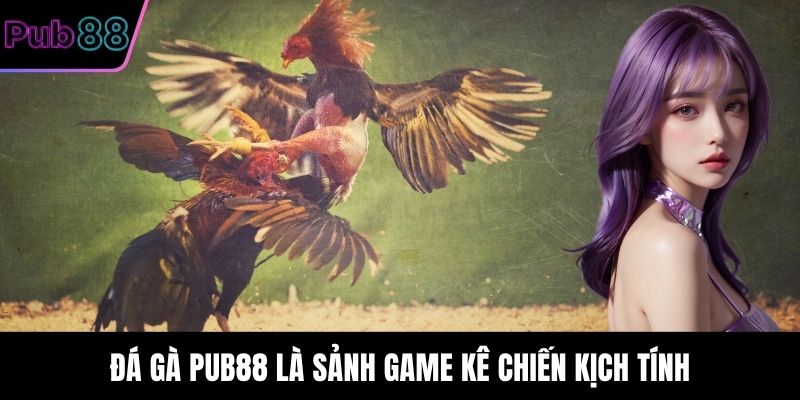 Đá Gà PUB88 là sảnh game kê chiến kịch tính