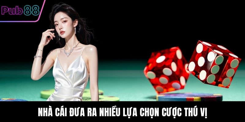 Nhà cái đưa ra nhiều lựa chọn cược thú vị